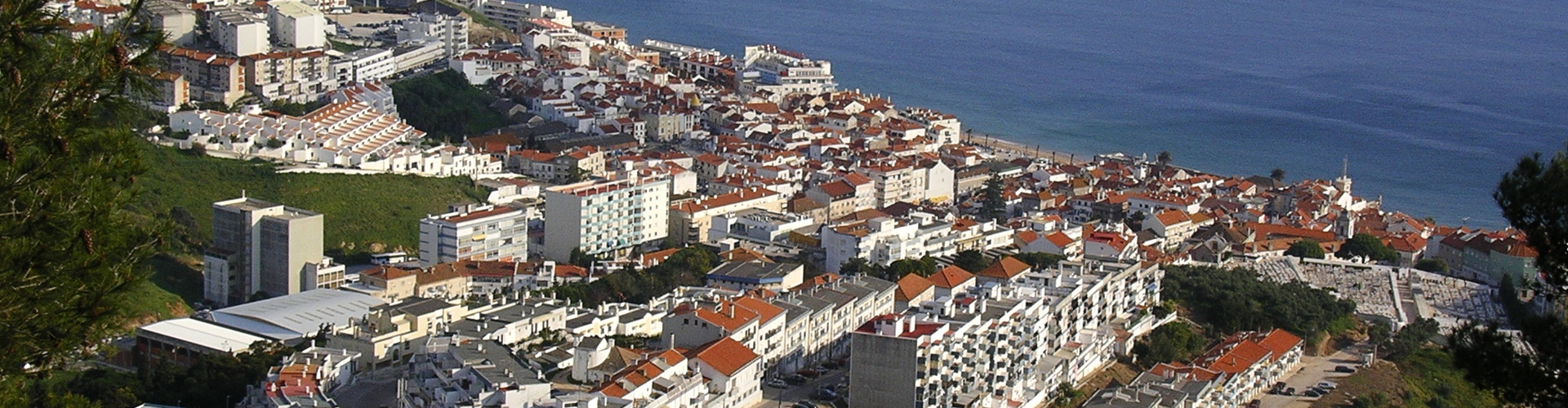 Transfer Sesimbra