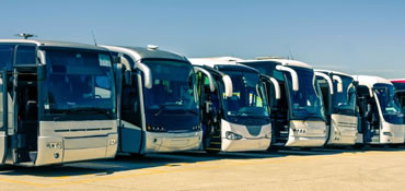 Autocarro 50+ lugares